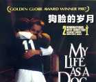 [狗脸的岁月 Mitt liv som hund][瑞典][1985][剧情/喜剧][1080P][MP4/3.01G][瑞典语中字][豆瓣8.4高分]