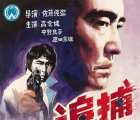 [115][日本][动作/犯罪][1976][追捕 君よ愤怒の河を渉れ][4KUHD原盘ISO][DIY上译央视双国配日语.特效中字日语软字][88.29G]