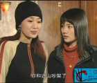 [大陆][2004][春夏秋冬][20集][576p][国语中字][MKV][10G]