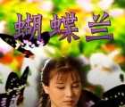 [中国大陆][1995][蝴蝶兰][赵明明/施大生/吴竞][共22集][国语无字][MP4每集均约360M-共7.79G][480P]