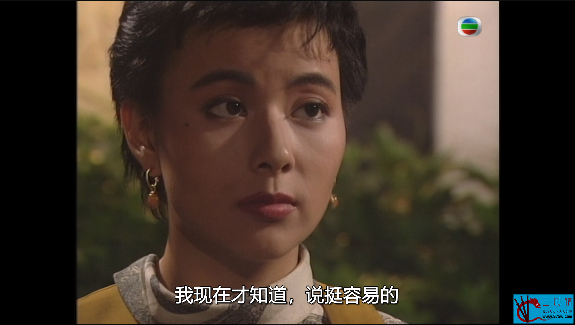 [TVB][1991][大家族][万梓良/恬妞/曾江][粤语外挂字幕][30集全/每集约1.2G][mytv下载版/1080P]