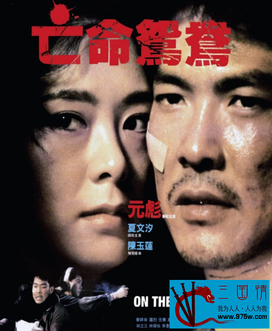 [百度云][香港][1988][亡命鸳鸯][元彪/夏文汐][国语中字][MP4/364M]