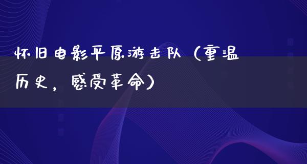 怀旧电影平原游击队（重温历史，感受革命）