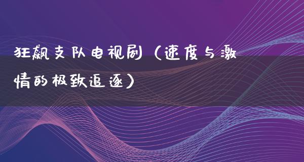 狂飙支队电视剧（速度与**的极致追逐）