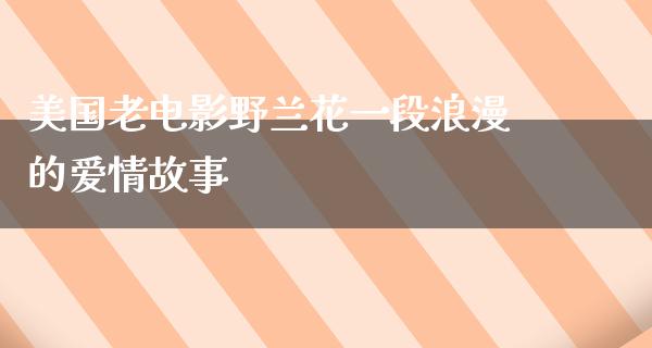 美国老电影野兰花一段浪漫的爱情故事