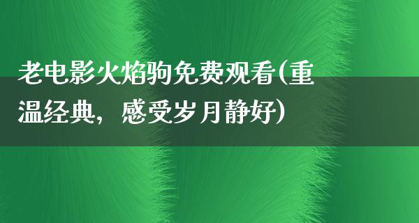 老电影火焰驹免费观看(重温经典，感受岁月静好)