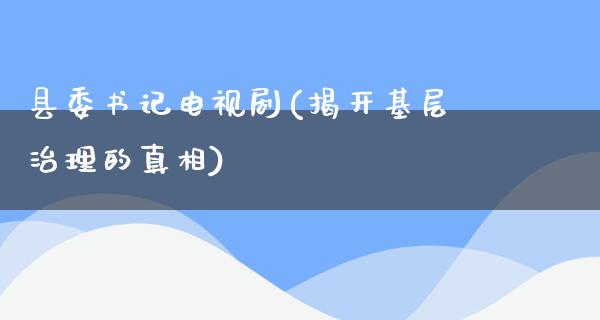 县委**电视剧(揭开基层治理的**)