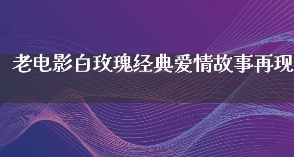 老电影白玫瑰经典爱情故事再现