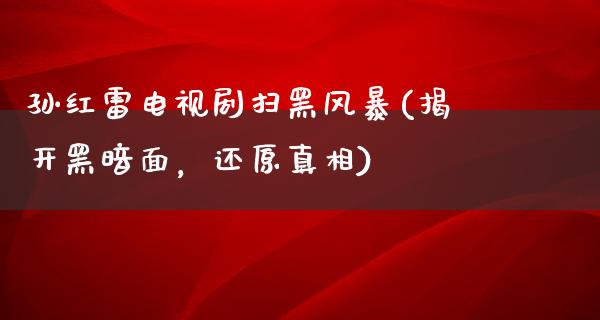 孙红雷电视剧扫黑风暴(揭开黑暗面，还原**)