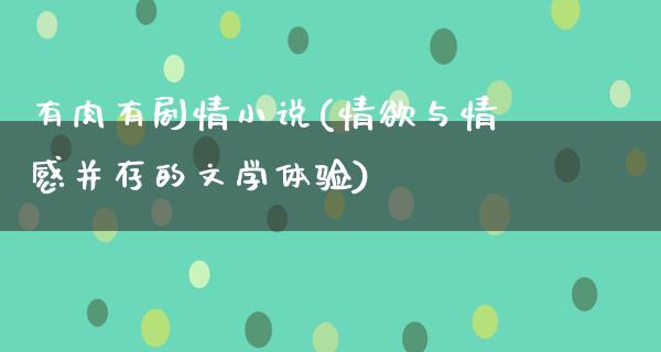 有肉有剧情小说(**与情感并存的文学体验)