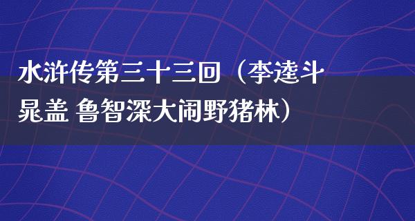 水浒传第三十三回（李逵斗晁盖 鲁智深大闹野猪林）