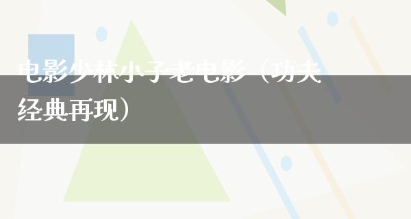 电影少林小子老电影（功夫经典再现）