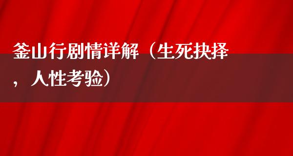 釜山行剧情详解（生死抉择，人性考验）