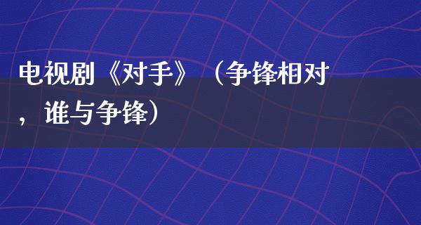 电视剧《对手》（争锋相对，谁与争锋）