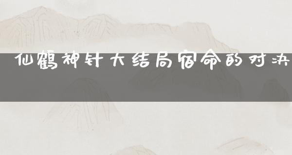 仙鹤神针大结局宿命的对决