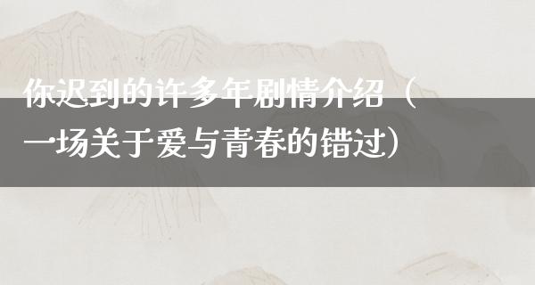 你迟到的许多年剧情介绍（一场关于爱与青春的错过）