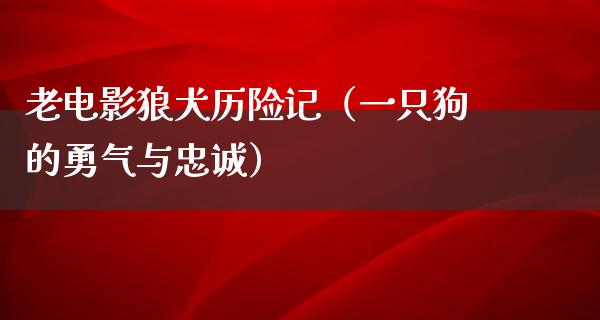 老电影狼犬历险记（一只狗的勇气与忠诚）