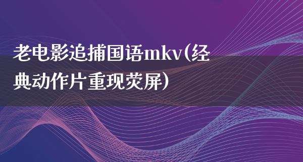 老电影追捕国语mkv(经典动作片重现荧屏)