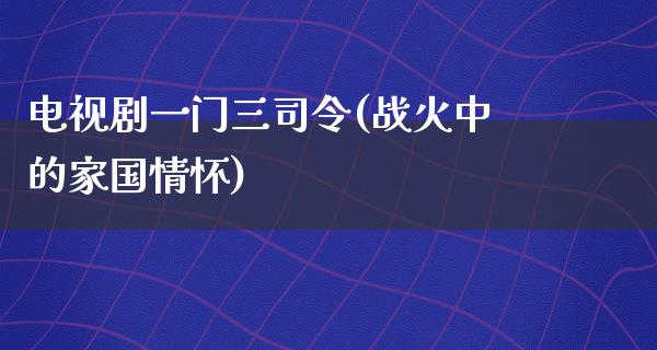 电视剧一门三司令(战火中的家国情怀)