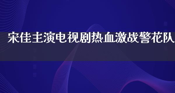 宋佳主演电视剧热血激战警花队