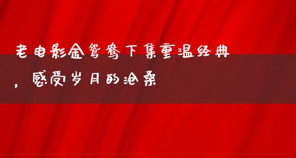 老电影金鸳鸯下集重温经典，感受岁月的沧桑