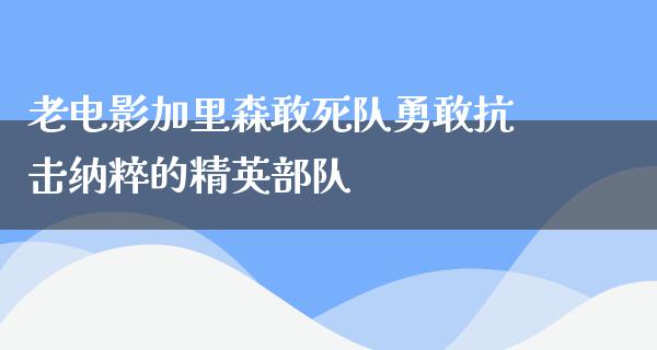 老电影加里森敢死队勇敢抗击纳粹的精英部队