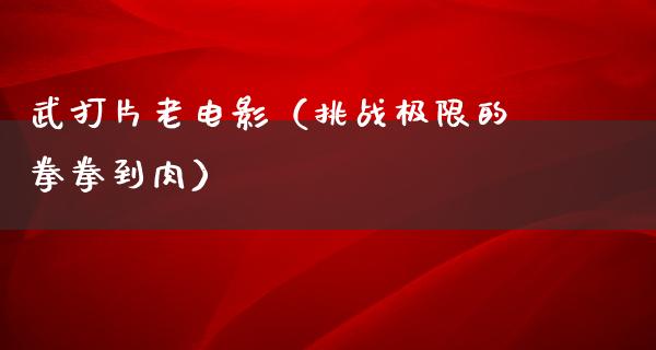 武打片老电影（挑战极限的拳拳到肉）