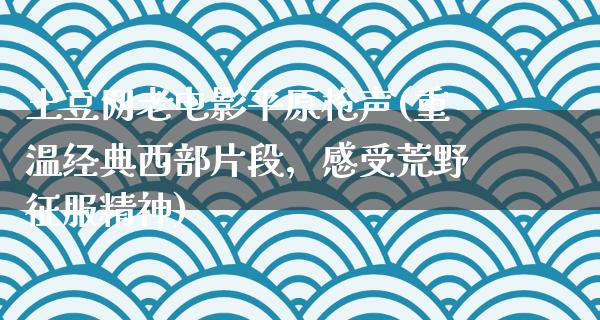 土豆网老电影平原枪声(重温经典西部片段，感受荒野征服精神)