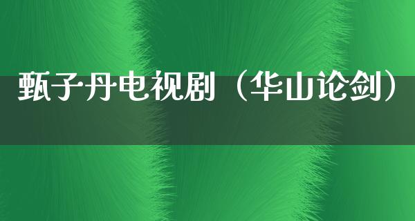 甄子丹电视剧（华山论剑）