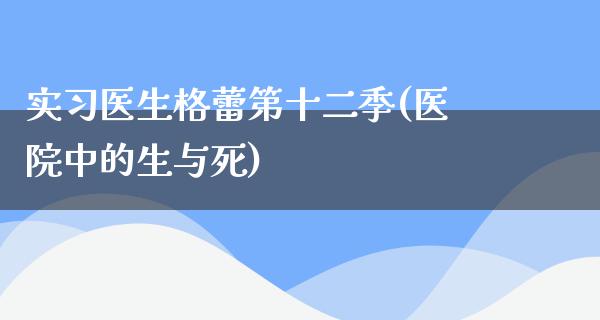 实习医生格蕾第十二季(医院中的生与死)