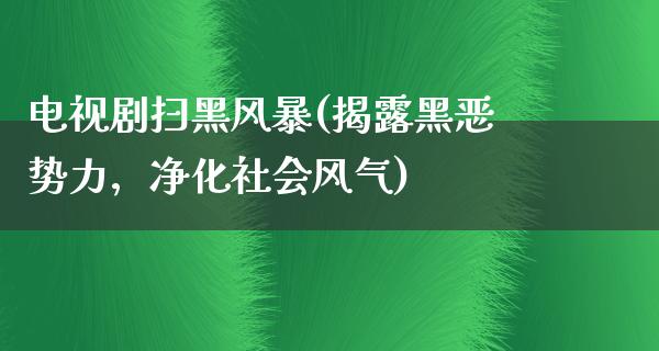 电视剧扫黑风暴(揭露黑恶势力，净化社会风气)