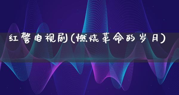 红警电视剧(燃烧**的岁月)