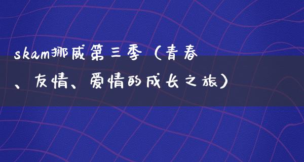 sk**挪威第三季（青春、友情、爱情的成长之旅）