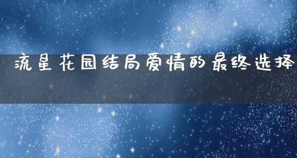 流星**结局爱情的最终选择