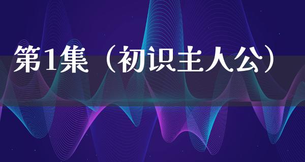 第1集（初识主人公）