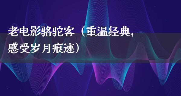 老电影骆驼客（重温经典，感受岁月痕迹）