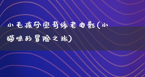 小毛孩夺宝奇缘老电影(小猫咪的冒险之旅)