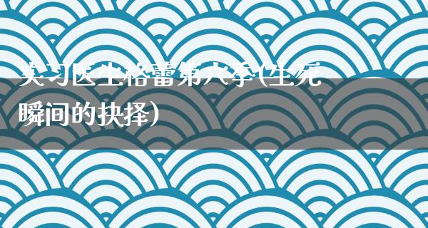 实习医生格蕾第六季(生死瞬间的抉择)