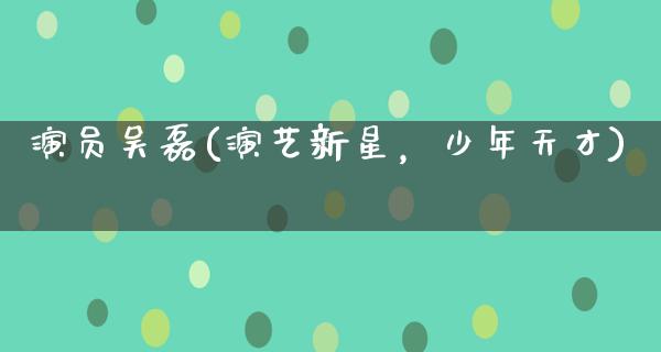 演员吴磊(演艺新星，少年天才)