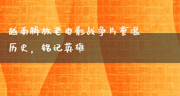 越南解放老电影战争片重温历史，铭记英雄