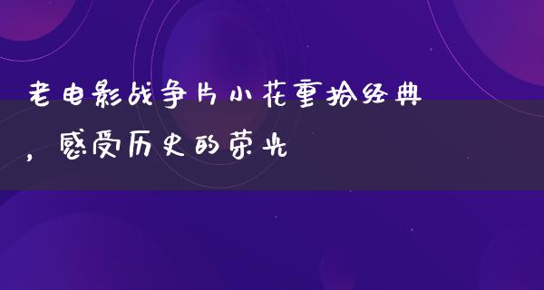 老电影战争片小花重拾经典，感受历史的荣光