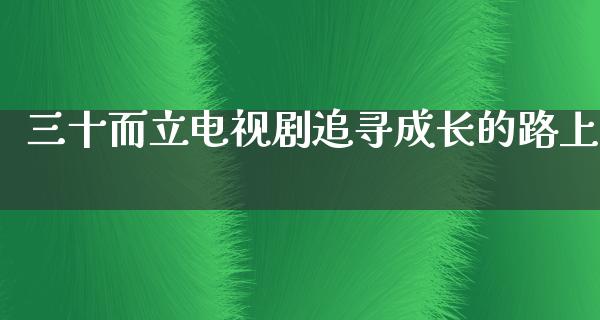 三十而立电视剧追寻成长的路上