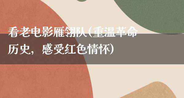 看老电影雁翎队(重温革命历史，感受红色情怀)