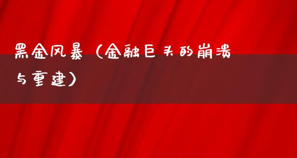 黑金风暴（金融巨头的崩溃与重建）