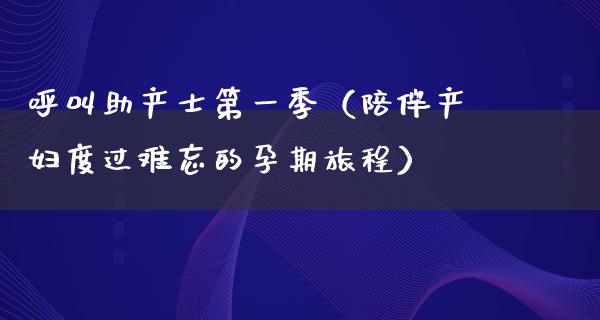 呼叫助产士第一季（陪伴产妇度过难忘的孕期旅程）