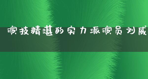 演技精湛的实力派演员刘威