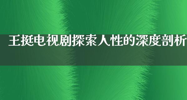 王挺电视剧探索人性的深度剖析