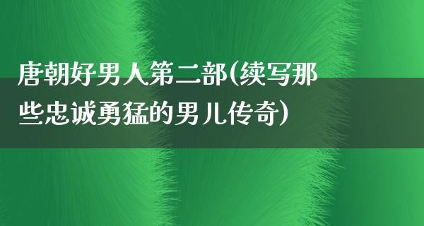 唐朝好男人第二部(续写那些忠诚勇猛的男儿传奇)