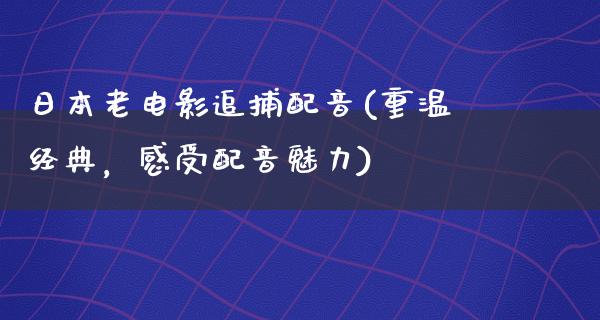 日本老电影追捕配音(重温经典，感受配音魅力)