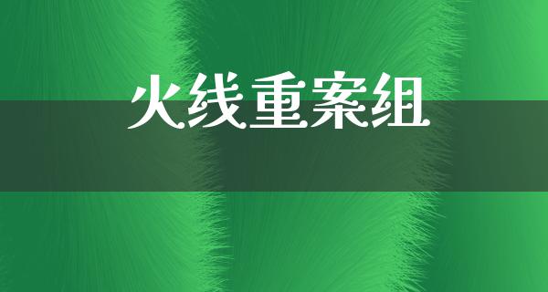 火线重案组